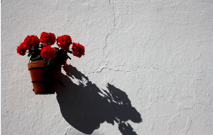 Diez Ideas Para Una Boda Flamenca Chic