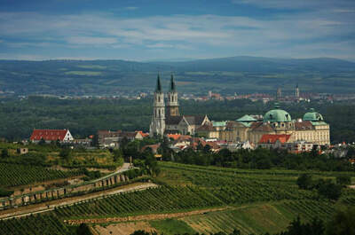 Kahlenberg hochzeit